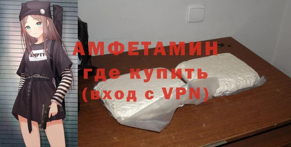 гидра Арсеньев