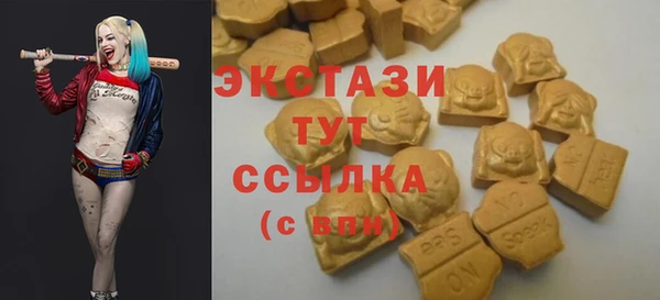 гидра Арсеньев