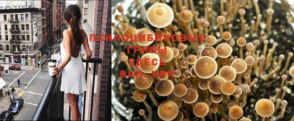 экстази Аркадак