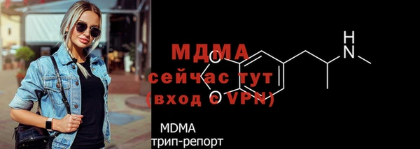 гидра Арсеньев