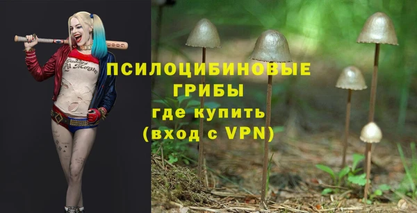 амф Алзамай