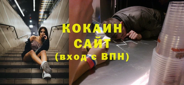 шишки Алексин