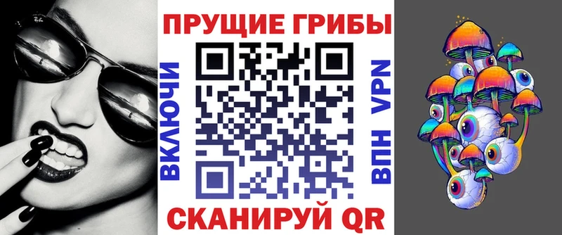 mega как зайти  Тавда  Псилоцибиновые грибы Psilocybine cubensis 